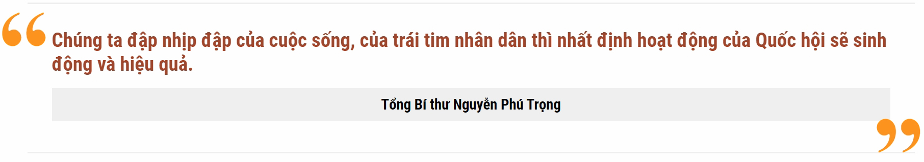 Ảnh tràn viền