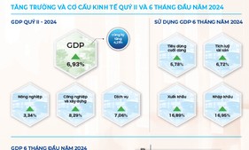 Động lực chính của tăng trưởng 6 tháng đầu năm 2024