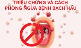 Triệu chứng và cách phòng ngừa bệnh bạch hầu