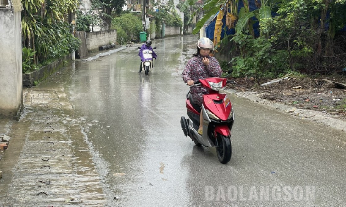 Dự báo lượng mưa trên địa bàn tỉnh cục bộ có nơi trên 150 mm