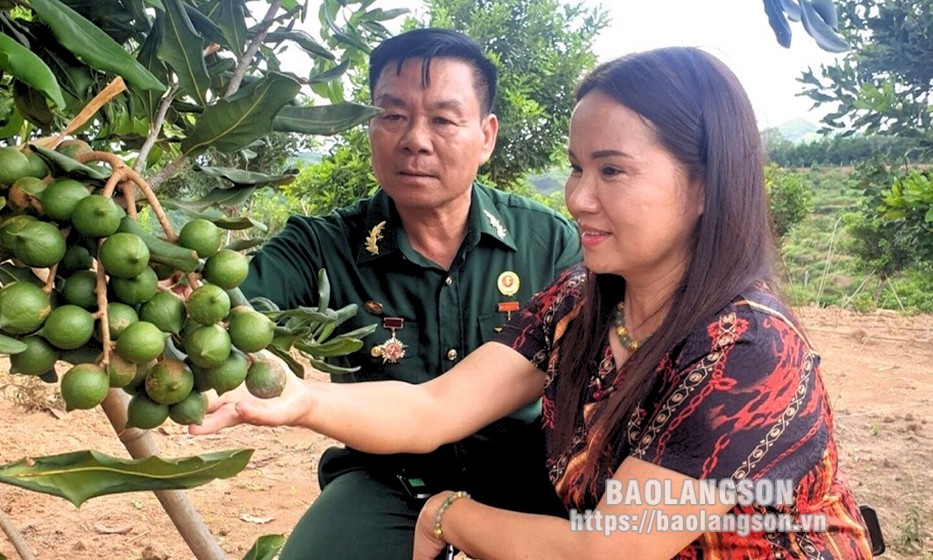 Cựu chiến binh giỏi làm kinh tế, trách nhiệm với xã hội