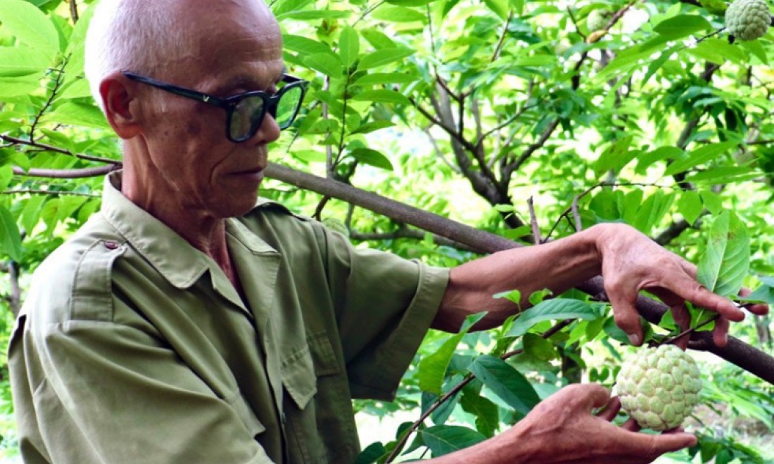 Cựu thanh niên xung phong xã Chi Lăng thi đua phát triển kinh tế