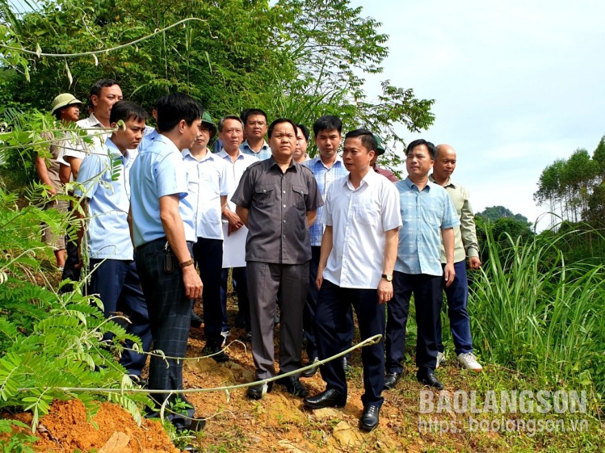 
Đoàn khảo sát của Thường trực HĐND tỉnh khảo sát thực tế dự án cụm công trình thuỷ lợi Vạn Linh
