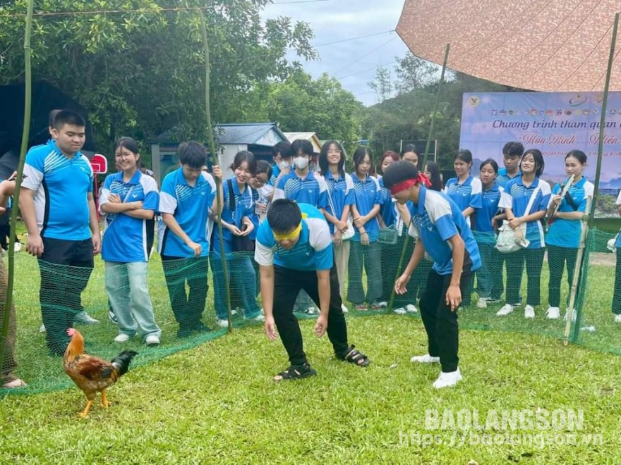 
Học sinh Trường THPT chuyên Chu Văn An, Lạng Sơn tham gia hoạt động team building tại Trại hè Hùng Vương
