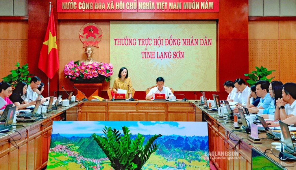 Đồng chí Đoàn Thị Hậu, Uỷ viên Ban Thường vụ Tỉnh uỷ, Chủ tịch HĐND tỉnh kết luận phiên họp thường kỳ