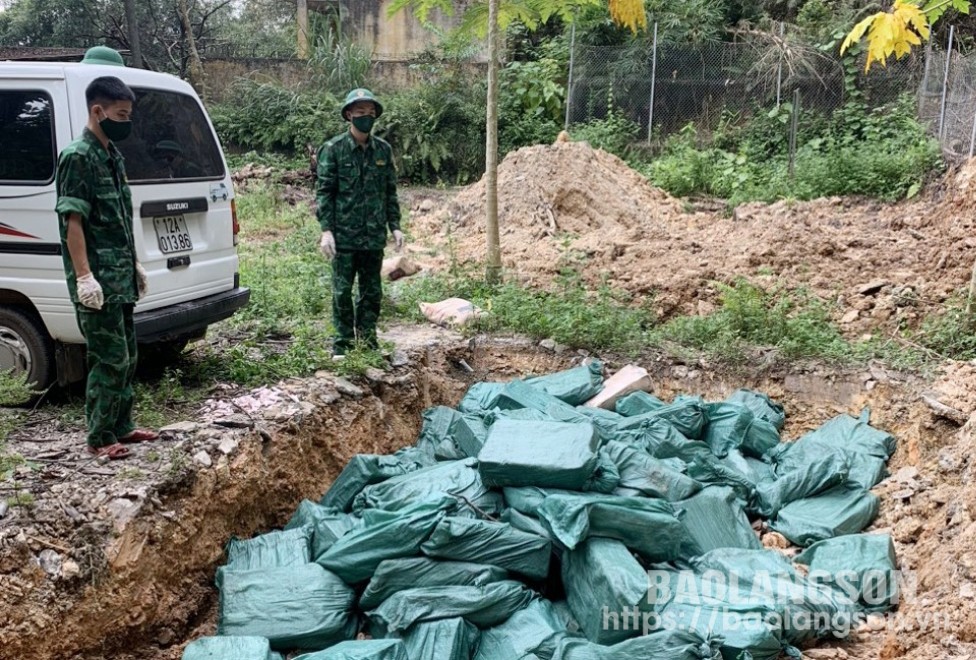 Cán bộ, chiến sĩ Đồn Biên phòng Cửa khẩu Chi Ma vận chuyển số gà không rõ nguồn đến vị trí tiêu hủy