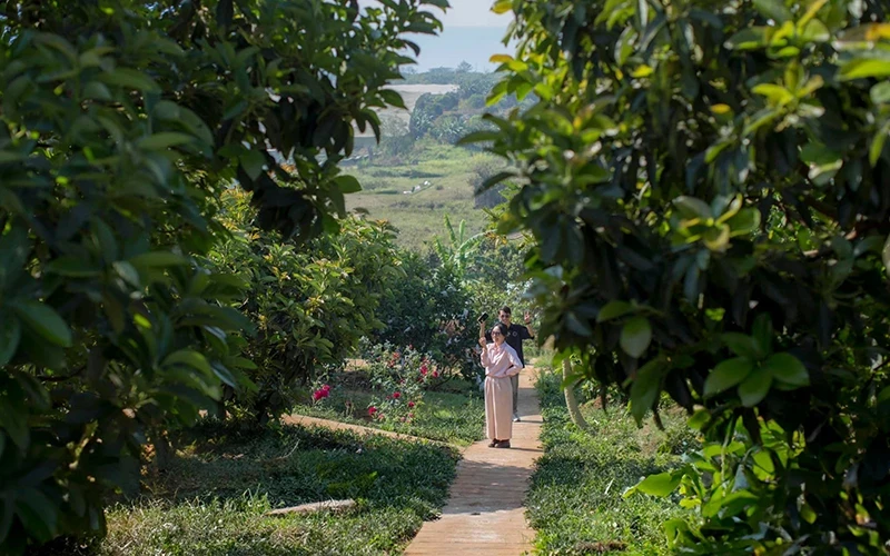 Du khách trải nghiệm tại một farmstay ở Lâm Đồng. (Ảnh Avocado Farm)