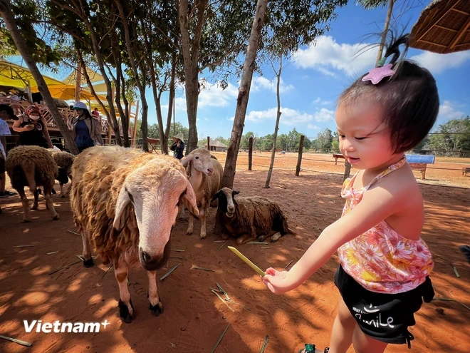 Du khách có xu hướng chọn những hành trình đa dạng trải nghiệm. (Ảnh: Mai Mai/Vietnam+)