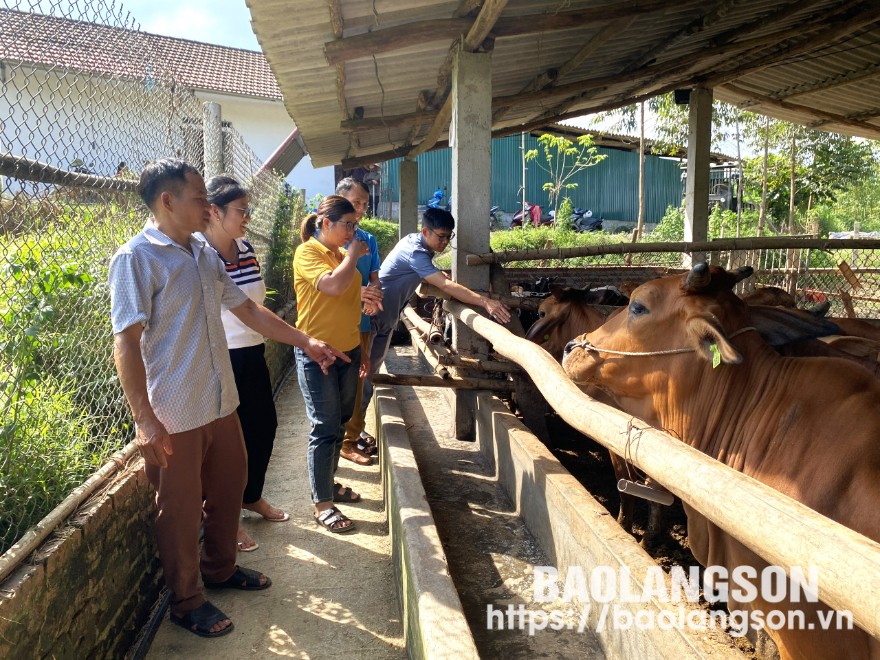 Anh Hiệu (ngoài cùng bên phải) chia sẻ kinh nghiệm chăn nuôi bò cho các hội viên nông dân khác trên địa bàn xã