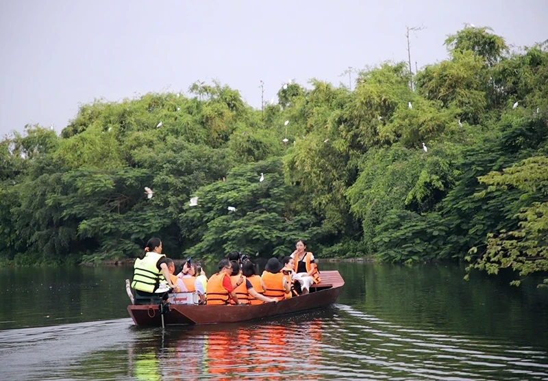 Du khách tham quan đảo Cò Chi Lăng Nam. (Ảnh LĐ)