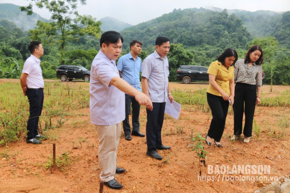 Các đại biểu khảo sát thực địa mặt bằng dân cư tại thôn Nà Ngòa, xã Tân Thanh