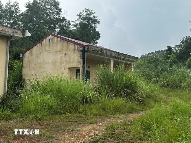 Đường vào Điểm trường Mầm non Làng Thanh niên lập nghiệp biên giới Thụy Hùng (tỉnh Lạng Sơn) um tùm cây cỏ vì bỏ hoang nhiều năm qua. (Ảnh: Quang Duy/TTXVN)