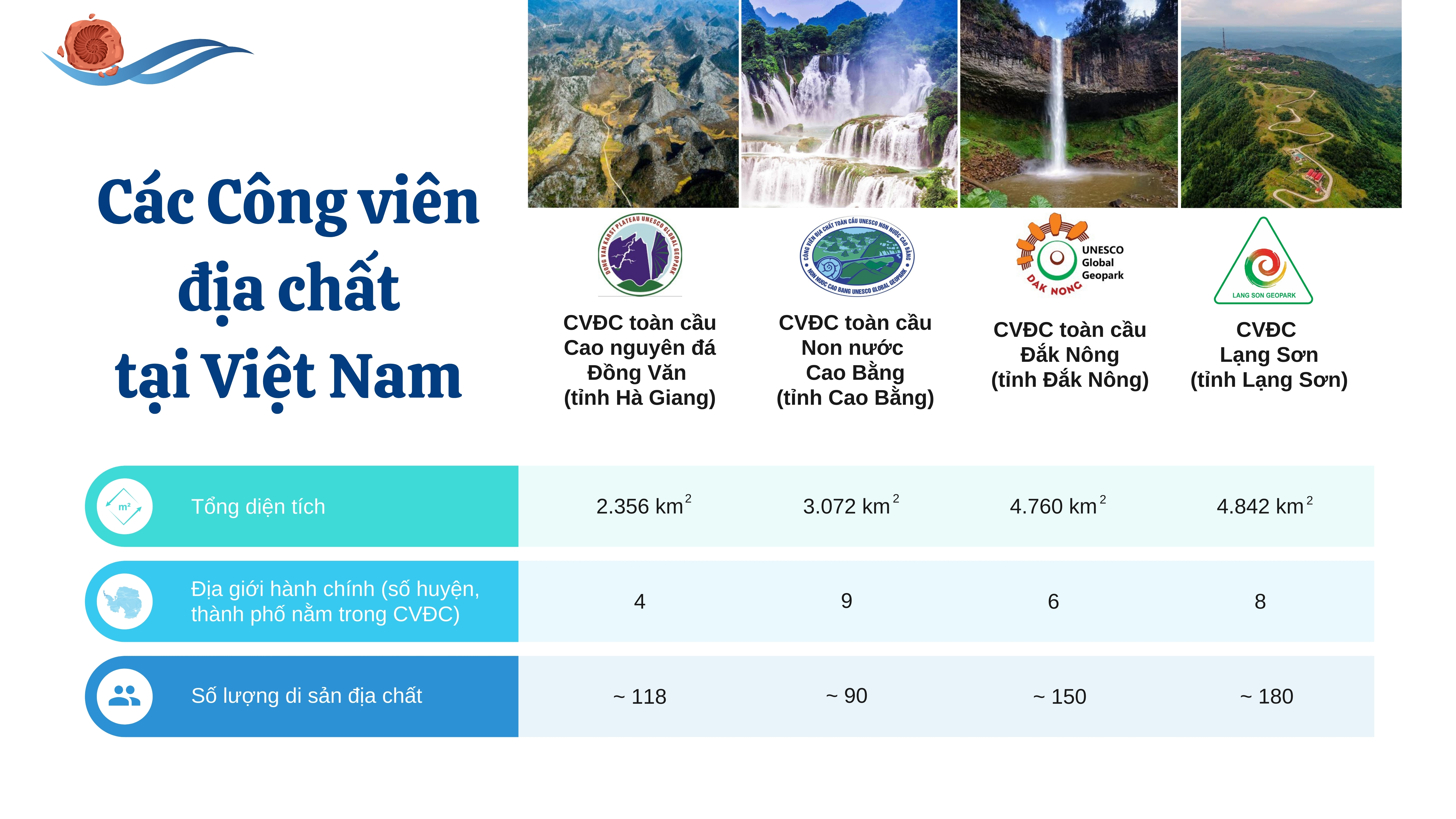 Ảnh co giãn vừa văn bản