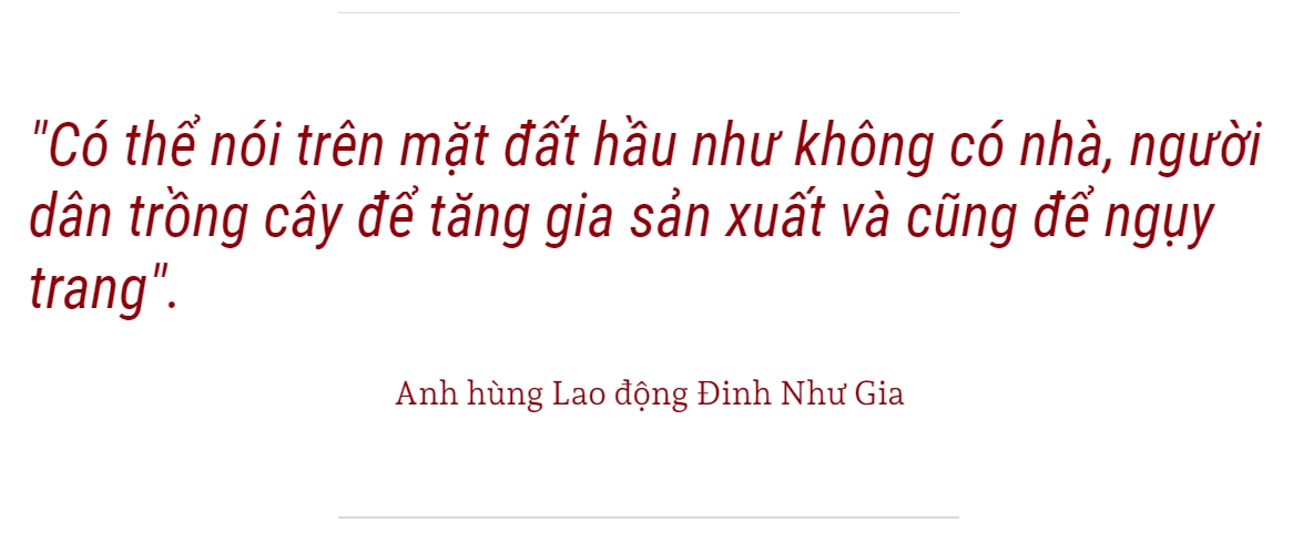 Ảnh tràn viền