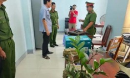 Sơn La: Bắt nguyên chủ tịch ủy ban nhân dân xã về tội giả mạo trong công tác