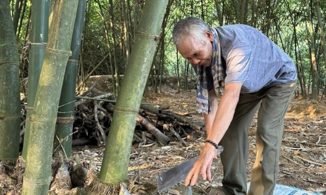 Cựu Thanh niên xung phong xã Thanh Sơn thi đua phát triển kinh tế, giúp nhau thoát nghèo