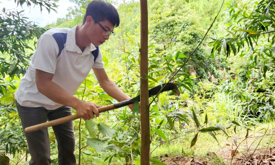 Lâm Ca: Người dân vươn lên từ rừng