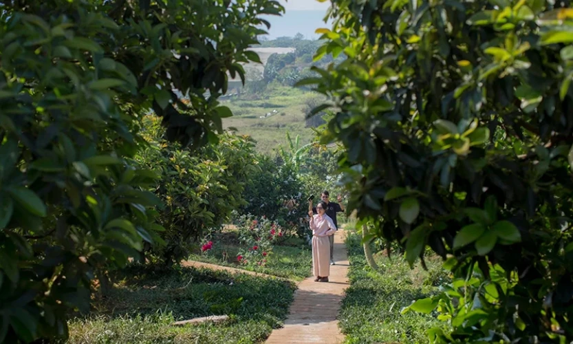 Farmstay: Hướng đi tiềm năng của du lịch nông nghiệp, nông thôn