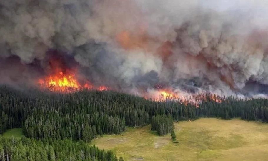 Nga: Sơ tán các trại hè trẻ em ở vùng Siberia do cháy rừng dữ dội