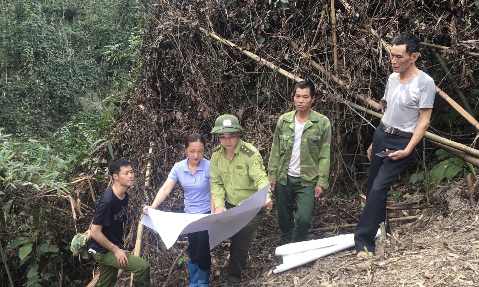 Ngăn chặn vi phạm trong lĩnh vực lâm nghiệp: Đồng bộ các giải pháp