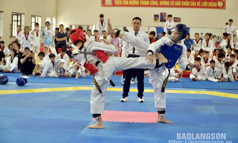 Hơn 150 vận động viên tham gia ngày hội giao lưu các câu lạc bộ Taekwondo tỉnh