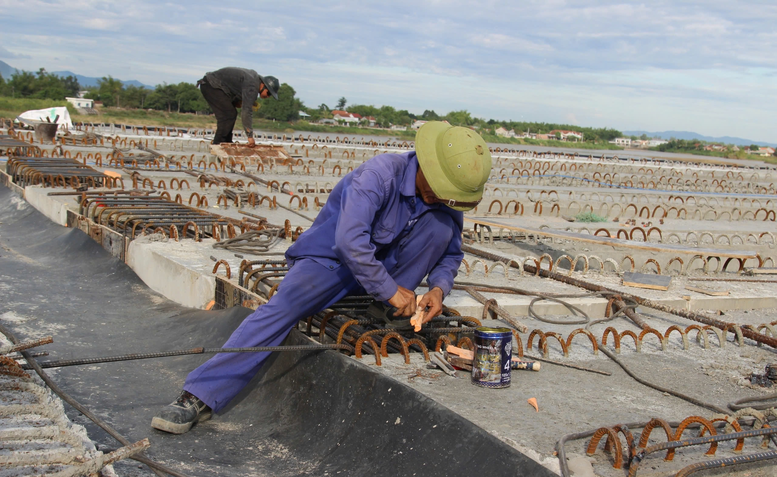 Cao tốc Hoài Nhơn-Quy Nhơn đoạn qua Bình Định vẫn tiếng máy thi công rền vang, hàng trăm công nhân, kỹ sư gác niềm riêng, nỗ lực làm xuyên Lễ - Ảnh: Báo Giao Thông