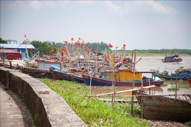 Tàu thuyền chủ động neo đậu tránh trú bão tại Cảng cá Tân Sơn (thị trấn Diêm Điền, huyện Thái Thụy, tỉnh Thái Bình). Ảnh: TTXVN 