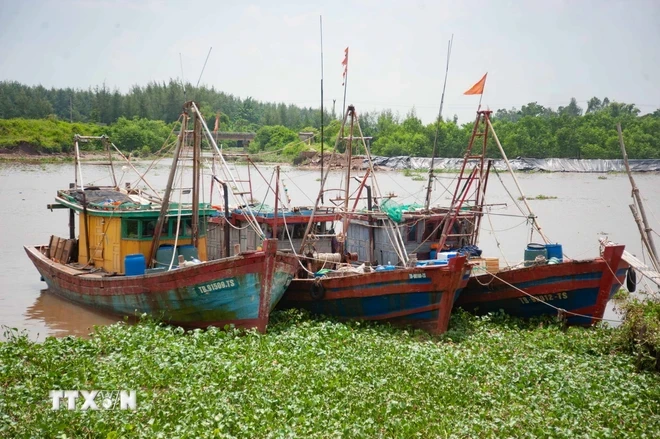 Tàu thuyền chủ động neo đậu tránh trú bão tại Cảng cá Tân Sơn (thị trấn Diêm Điền, huyện Thái Thụy, tỉnh Thái Bình). (Ảnh: Vũ Quang/TTXVN)