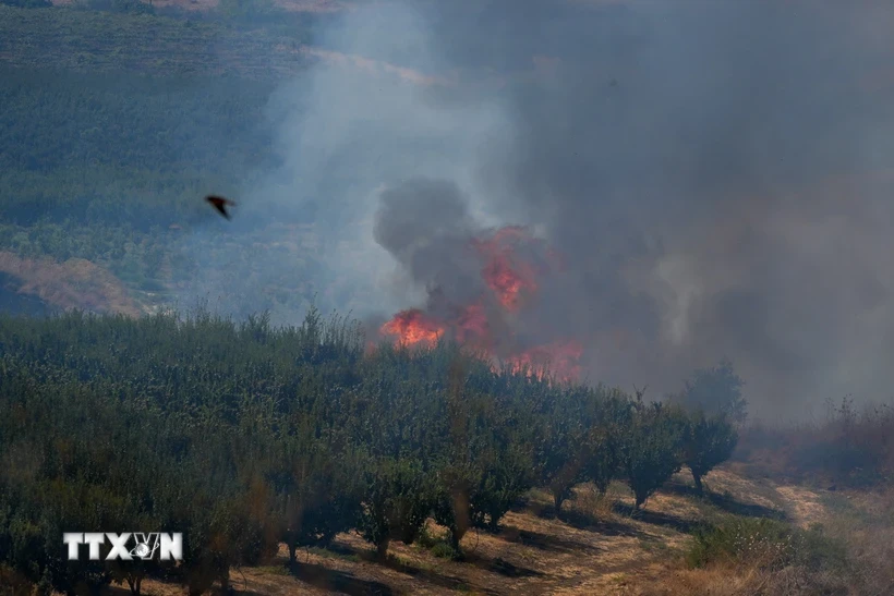 Khói lửa bốc lên sau cuộc tấn công của lực lượng Hezbollah tại Liban xuống miền Bắc Israel ngày 17/8/2024. (Ảnh: THX/TTXVN)