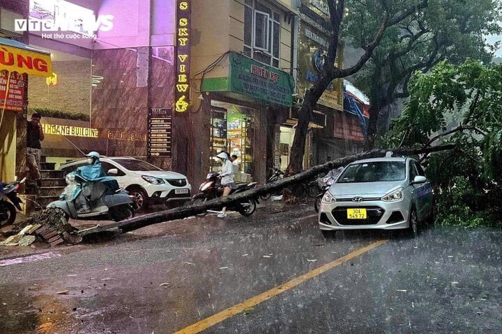 Cây xanh đổ đè lên ô tô đang di chuyển trong cơn dông chiều 6/9 tại Hà Nội.