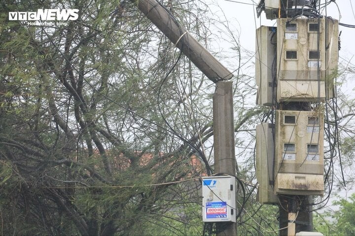 Nhiều cột điện trên tuyến đường từ trung tâm TP Móng Cái xuống các phường Trà Cổ bị gió bão quật đổ, dây điện vắt ngang đường.