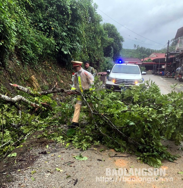 Lực lượng CSGT, Công an huyện Bình Gia dọn cây đổ xuống đường, gây mất ATGT tại Km 217 +800 quốc 279, đoạn qua địa bàn huyện Bình Gia, tỉnh Lạng Sơn 