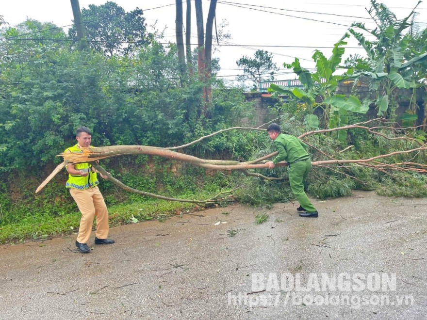 Lực lượng Công an huyện Lộc Bình dọn cây gãy, đổ nhằm đảm bảo an toàn giao thông trên địa bàn