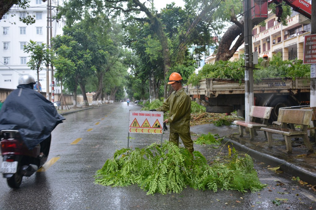 Đơn vị chức năng đặt biển cảnh báo để xử lý cây đổ trên đường Đinh Tiên Hoàng, phường Chi Lăng, thành Phố Lạng Sơn