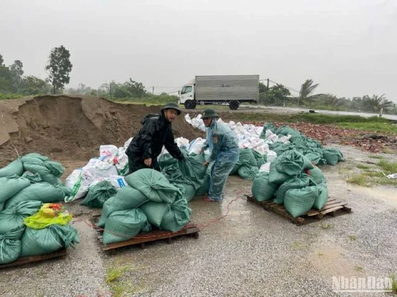 Lực lượng hộ đê xã Thụy Xuân cho cát vào bao tải để xử lý tình huống khi bão gây ảnh hưởng cho các tuyến đê. (Ảnh chụp lúc 9 giờ ngày 7/9)