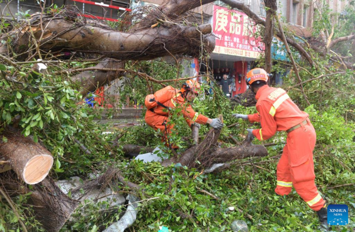 Hơn 2.200 nhân viên được huy động để khôi phục điện lưới cho khoảng 1,5 triệu hộ gia đình bị ảnh hưởng.