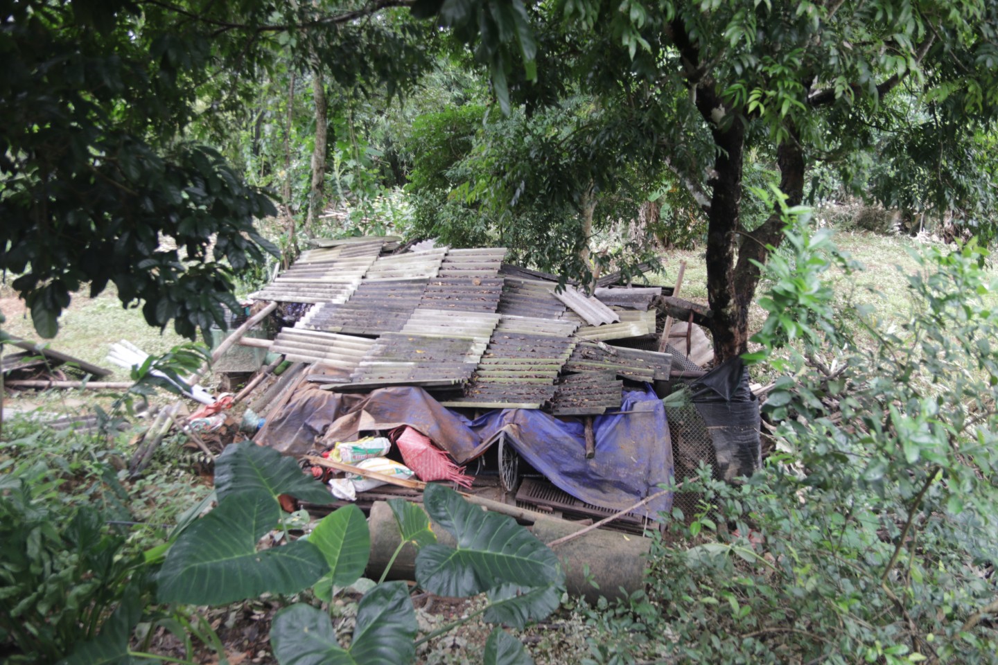 Khu vực chuồng trại chăn nuôi của người dân xã Đại Đồng, huyện Tràng Định bị đổ sập hoàn toàn