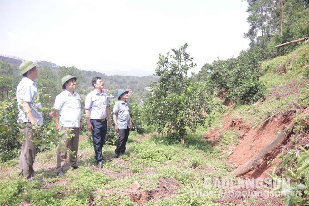 Đoàn công tác kiểm tra thực tế điểm sạt lở tại khu 8+10, thị trấn Na Dương, huyện Lộc Bình