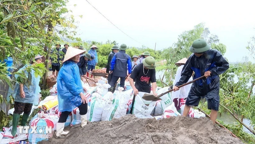 Khẩn trương xử lý sự cố sạt lở trên đê thuộc địa bàn thành phố Chí Linh. (Ảnh: TTXVN phát)