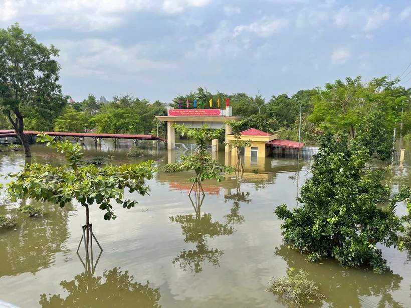 Trường học bị ngập do bão Yagi. (Ảnh: PV/Vietnam+)