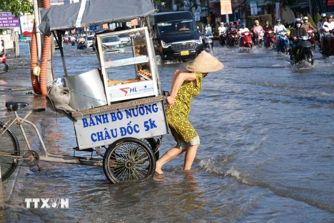 Đường phố tại Cần Thơ bị ngập trong đợt triều cường tháng 10/2023. (Ảnh: Thanh Liêm/TTXVN)