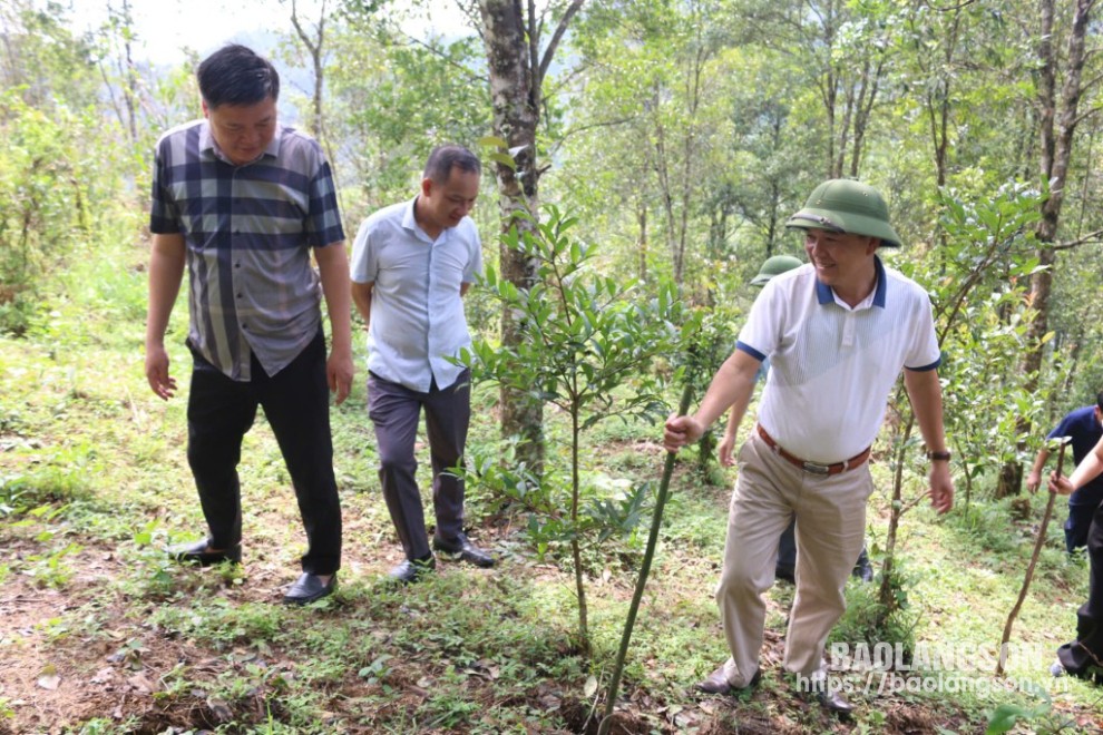 Đoàn công tác kiểm tra thực tế các vết nứt tại xóm Cốc Sau, thôn Bản Chầu, xã Lương Năng 