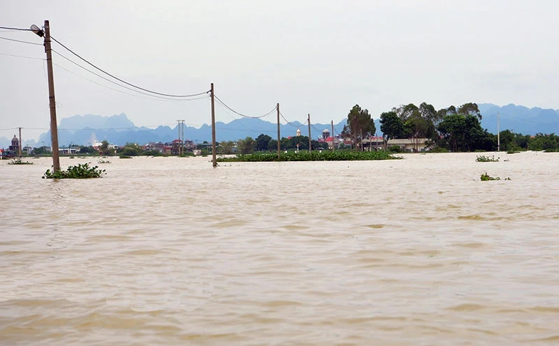 Ảnh minh họa.