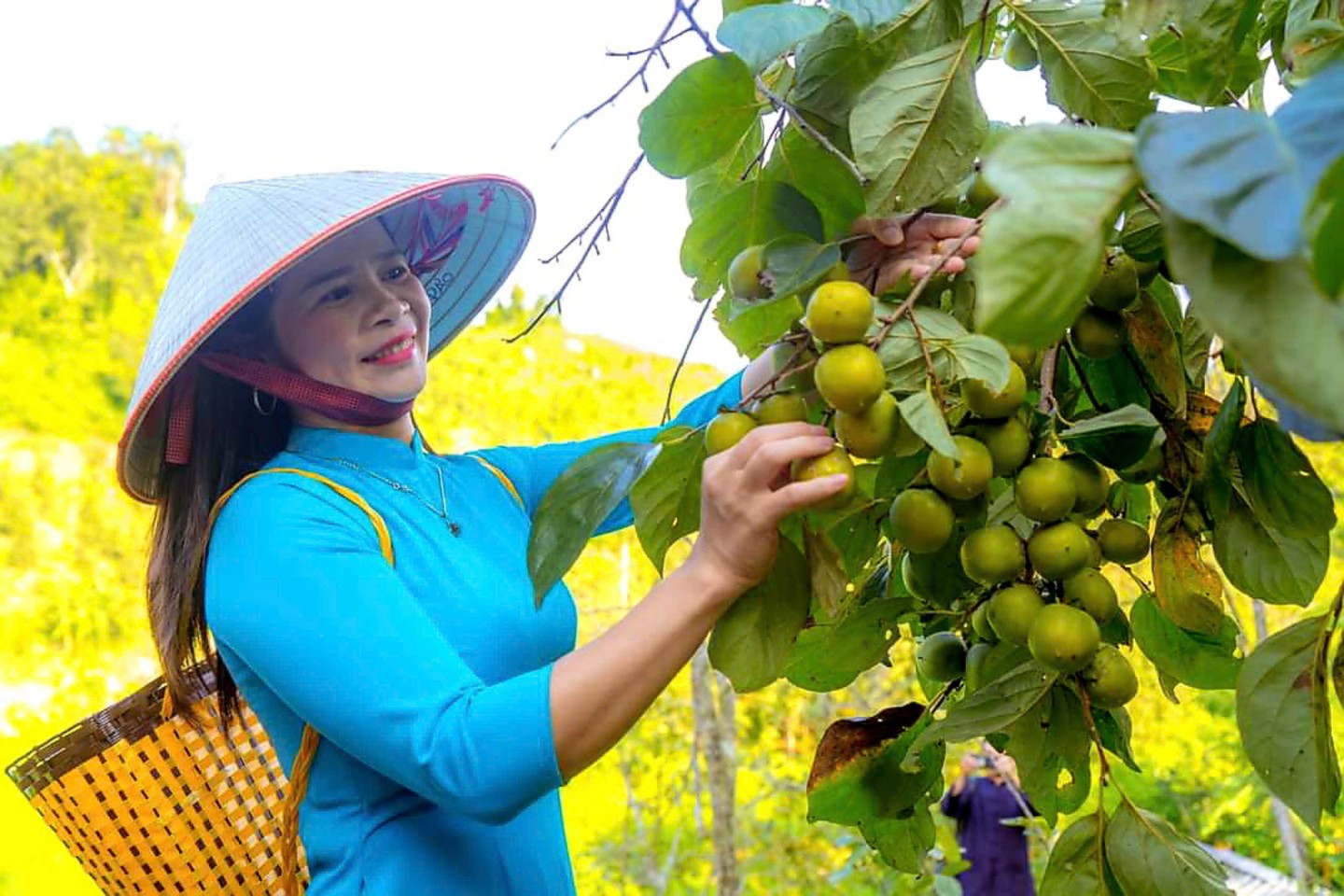 Người dân, du khách trong và ngoài tỉnh thích thú, hào hứng với trải nghiệm vườn hồng và tự tay thu hái quả. Trong thời gian tới, huyện Văn Lãng tiếp tục mở rộng diện tích trồng hồng đến các xã có điều kiện thổ nhưỡng phù hợp. Bên cạnh đó, tiếp tục đẩy mạnh thực hiện các chương trình xúc tiến thương mại quảng bá sản phẩm hồng, đồng thời hướng dẫn xây dựng các chuỗi liên kết sản xuất tiêu thụ sản phẩm giữa các doanh nghiệp, HTX với các hộ trồng hồng trên địa bàn... Để cây hồng vành khuyên không chỉ giúp dân xóa đói, giảm nghèo mà còn nâng cao đời sống vật chất cho người dân, góp phần thực hiện tiêu chí thu nhập, tiêu chí giảm nghèo đối với những xã phấn đấu về đích nông thôn mới trong các năm tiếp theo.