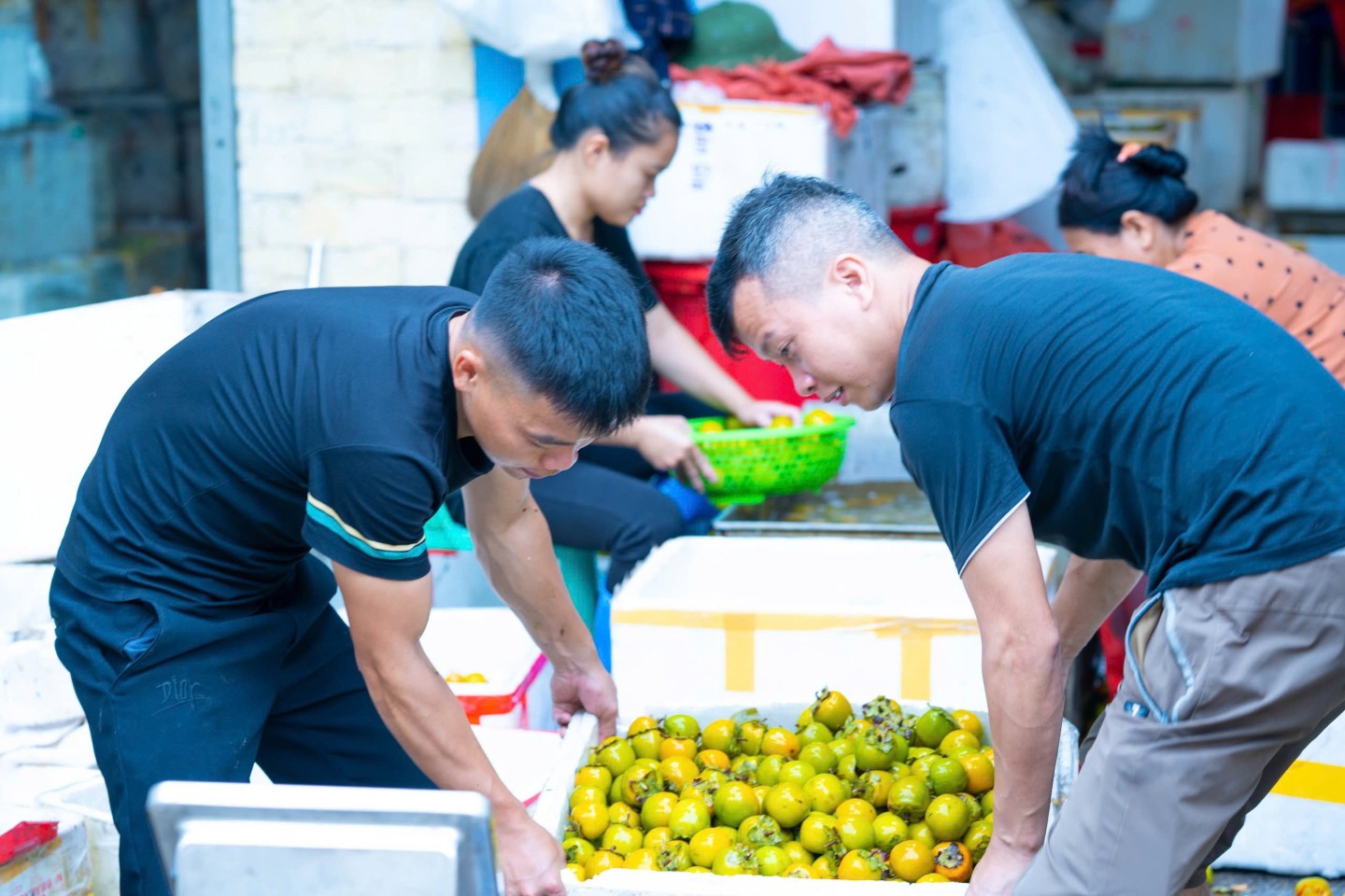 Để nâng cao hiệu quả kinh tế từ cây hồng vành khuyên, huyện Văn Lãng đã hướng dẫn người dân mở rộng diện tích, tạo vùng sản xuất tập trung, hình thành chuỗi liên kết sản xuất và tiêu thụ hồng giữa các tổ chức, cá nhân và HTX với các hộ trồng hồng trên địa bàn. Hiện nay, huyện có 5 HTX sản xuất, kinh doanh hồng vành khuyên (HTX Quyết Tiến, xã Tân Mỹ; HTX Nà Mò, xã Tân Mỹ; HTX Nông sản Toàn Thương; HTX Hoàng Việt; HTX Thanh Tân). Ngoài ra, trên địa bàn vẫn có một số thương lái thu mua quả hồng tươi liên kết đặt hàng với người dân từ các tỉnh, thành: Hà Nội, Bắc Giang, Bắc Ninh...
 
