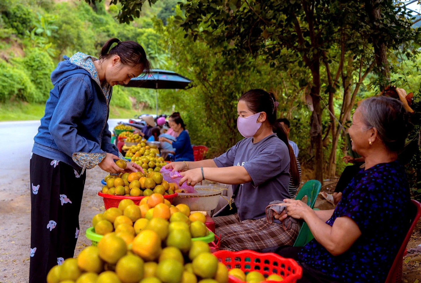 Người dân trồng hồng tại xã Tân Mỹ, huyện Văn Lãng bày bán hồng vành khuyên dọc tuyến quốc lộ 4A, thu hút du khách đi qua ghé mua thưởng thức và làm quà biếu cho người thân