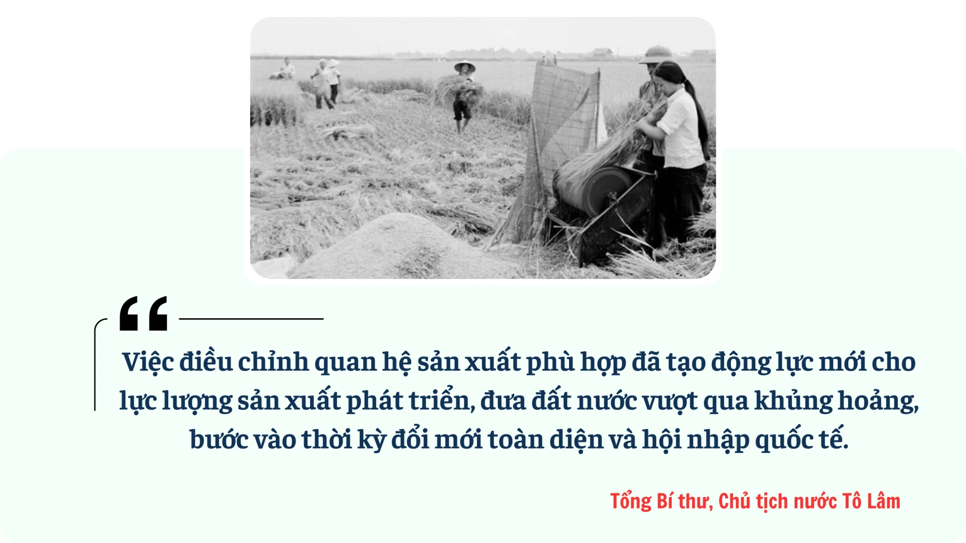 Ảnh tràn viền