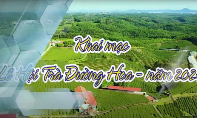 Quảng Ninh: Sắp diễn ra lễ hội Trà Đường Hoa lần đầu tiên ở huyện Hải Hà