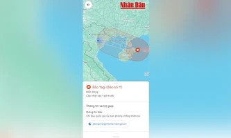 Theo dõi siêu bão Yagi trên ứng dụng Google Maps