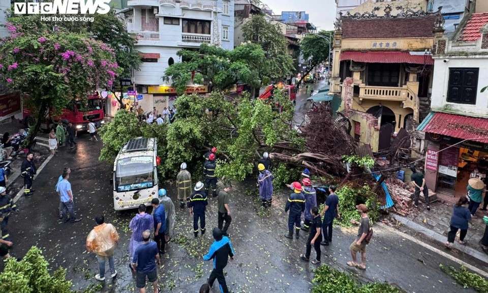 Hà Nội: Ảnh hưởng siêu bão Yagi, cây đổ khiến tường sập, ô tô bẹp dúm trên đường